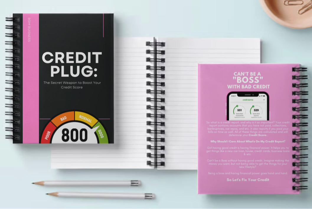 Credit Plug : Diy Credit Repair Ebook