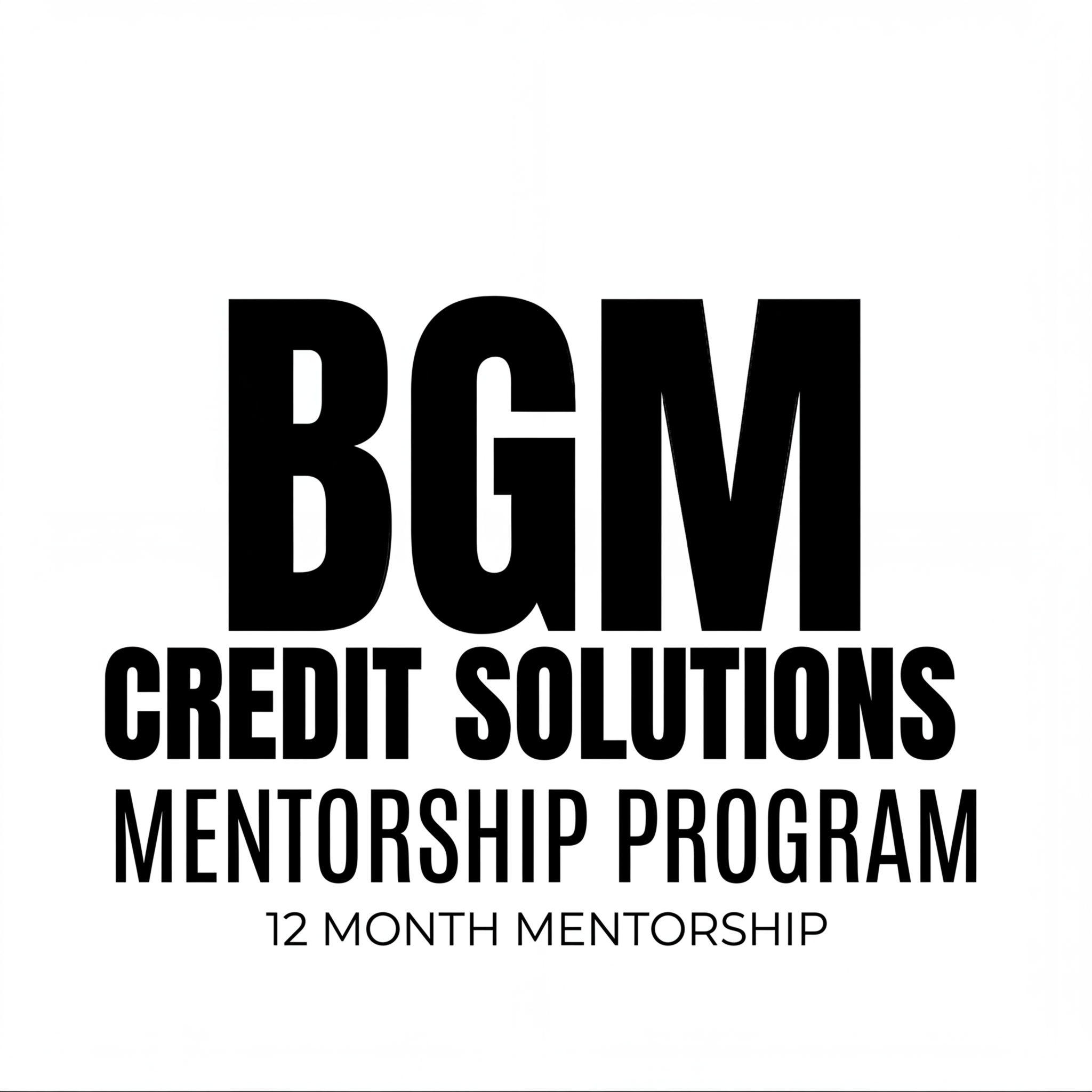 BGM Business Credit Solutions Mentorship Program